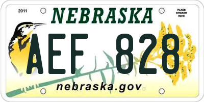 NE license plate AEF828