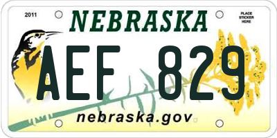 NE license plate AEF829