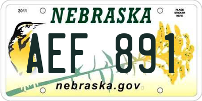 NE license plate AEF891