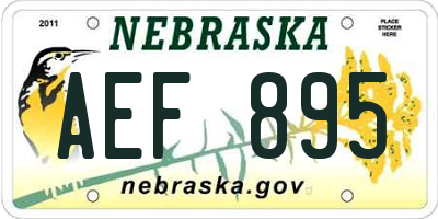 NE license plate AEF895