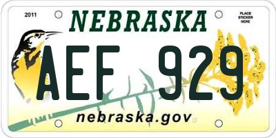 NE license plate AEF929
