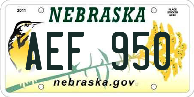 NE license plate AEF950