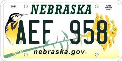 NE license plate AEF958
