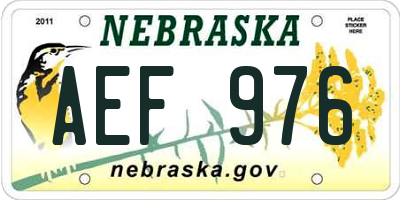 NE license plate AEF976