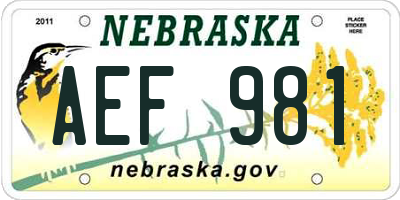 NE license plate AEF981