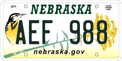 NE license plate AEF988