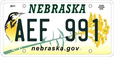 NE license plate AEF991