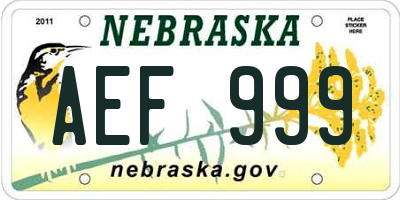 NE license plate AEF999