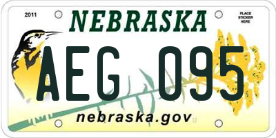 NE license plate AEG095