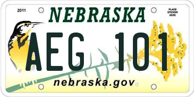 NE license plate AEG101
