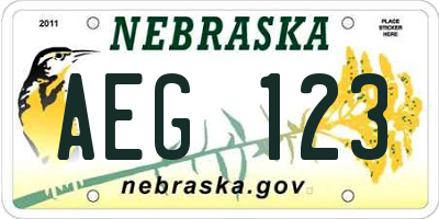 NE license plate AEG123