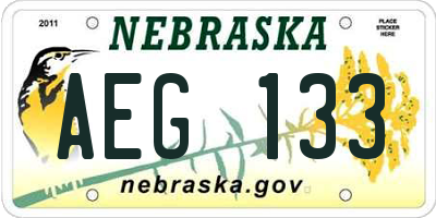 NE license plate AEG133