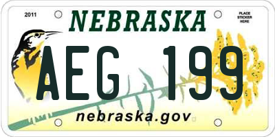 NE license plate AEG199
