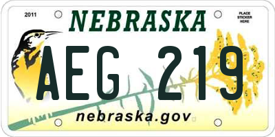 NE license plate AEG219