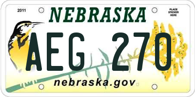 NE license plate AEG270