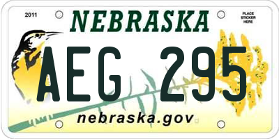 NE license plate AEG295