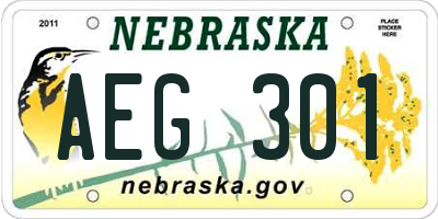 NE license plate AEG301