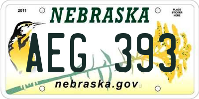 NE license plate AEG393