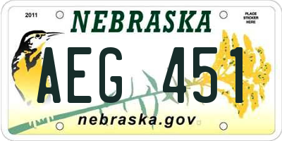 NE license plate AEG451