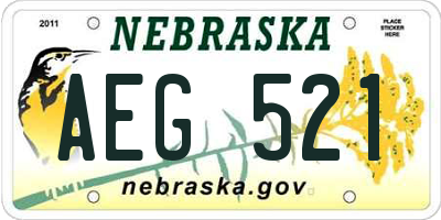 NE license plate AEG521