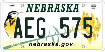 NE license plate AEG575