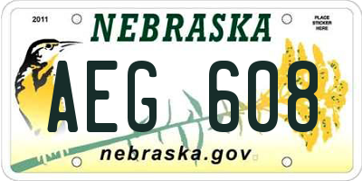 NE license plate AEG608