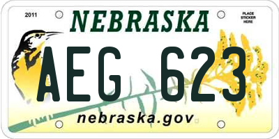 NE license plate AEG623
