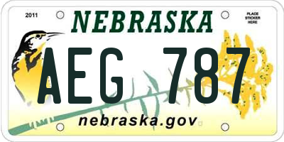 NE license plate AEG787