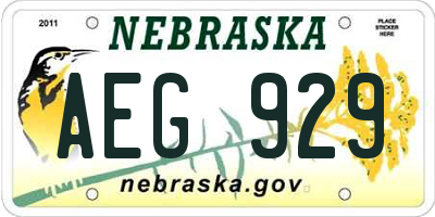 NE license plate AEG929