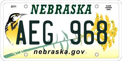 NE license plate AEG968