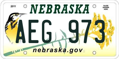 NE license plate AEG973