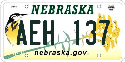 NE license plate AEH137