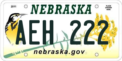 NE license plate AEH222