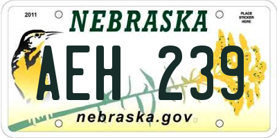 NE license plate AEH239