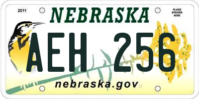 NE license plate AEH256