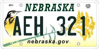 NE license plate AEH321