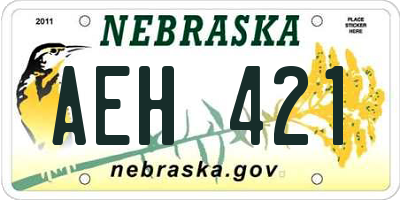 NE license plate AEH421