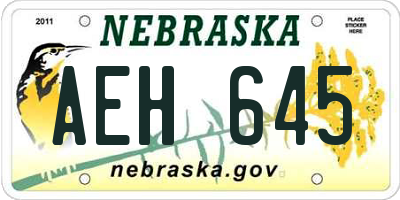NE license plate AEH645