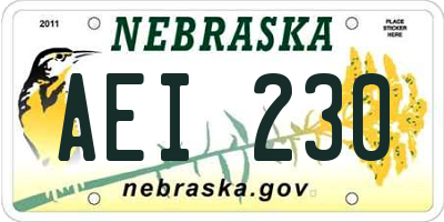 NE license plate AEI230