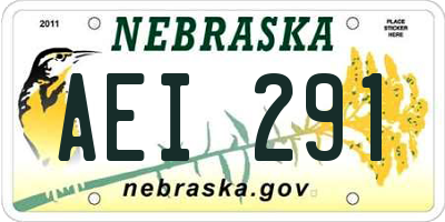 NE license plate AEI291