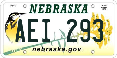 NE license plate AEI293