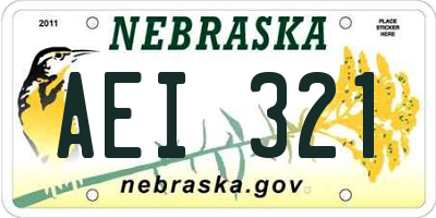 NE license plate AEI321