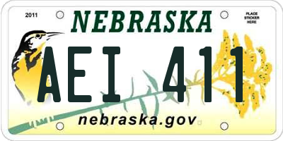 NE license plate AEI411
