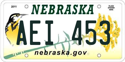 NE license plate AEI453