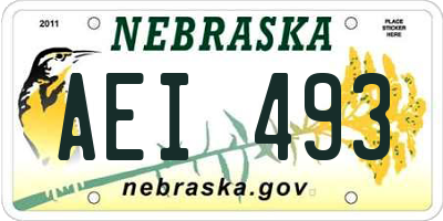NE license plate AEI493