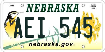 NE license plate AEI545