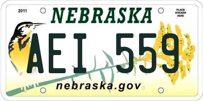 NE license plate AEI559