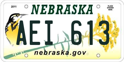 NE license plate AEI613