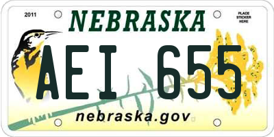 NE license plate AEI655
