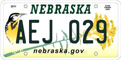 NE license plate AEJ029